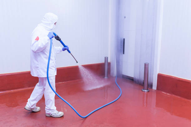 Reliable Jackson, TN Pressure Washing Solutions